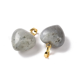 Природные подвески лабрадорита&nbsp;G-I311-A03-G