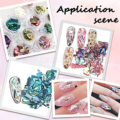 12 цвет ракушки чипсы украшения для ногтей аксессуары&nbsp;DIY-WH20002-669