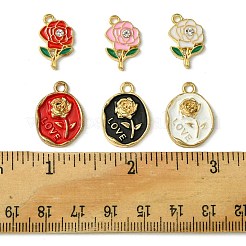 12шт 6 стиля подвески из сплава с эмалью&nbsp;FIND-FS0002-05