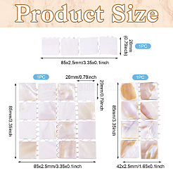 3 шт. 3 стиля натуральной ракушки для дизайна ногтей&nbsp;ODIS-TA0001-04