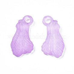 Прозрачные акриловые подвески&nbsp;TACR-S134-031