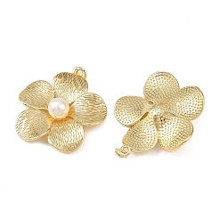 Латунные подвески&nbsp;KK-L255-23G-03