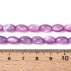 Нити бусин из натуральной ракушки трохус&nbsp;SHEL-K006-19-01D