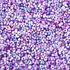 Двухцветная краска для запекания&nbsp;SEED-C003-01K