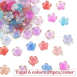 120шт 6 цвета акриловые колпачки для бусин&nbsp;OACR-YW0002-32