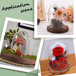 1 шт. стеклянный купол&nbsp;AJEW-SC0002-60A-04