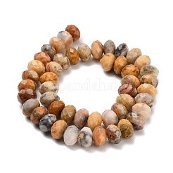 Природные сумасшедший агат бисер нитей&nbsp;G-C259-A04-6x10mm