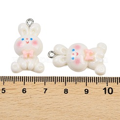 Подвески из непрозрачной смолы&nbsp;LS-RESI-XCP0002-34