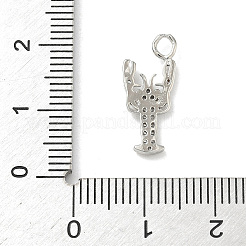 Латунные микропаве прозрачные подвески с фианитом&nbsp;LS-KK-H528-04B-P