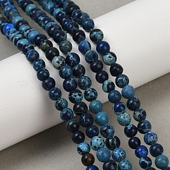 Нити бусин из окрашенного натурального регалита/императорской яшмы/морского осадка яшмы&nbsp;G-B124-C04-05