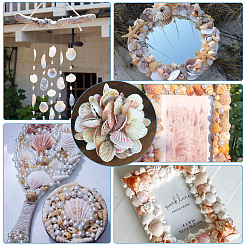 40 шт. бусины из натуральной ракушки-гребешка&nbsp;SSHEL-SP0001-02