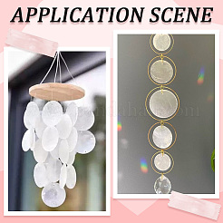 60 шт. 3 стиля подвески из натуральной ракушки капиз&nbsp;SSHEL-SC0001-43