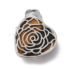 Природных тигровый глаз подвески&nbsp;G-B042-01P-06