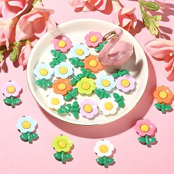 30 шт. 6 цвета непрозрачные подвески из смолы&nbsp;RESI-CJ0003-08