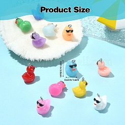 60 шт. 12 цвета непрозрачные подвески из смолы&nbsp;RESI-SZ0003-28