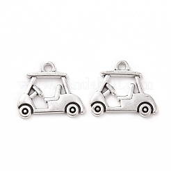 Сплавочные подвески тибетского стиля&nbsp;FIND-G026-06AS