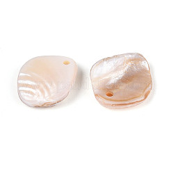 Природные подвески оболочки пресноводных&nbsp;BSHE-T014-27