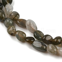 Природные лабрадорита бисер нитей&nbsp;LS-G-C250-03