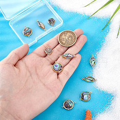 10 шт. 5 стиля латунные подвески-соединители из натуральной ракушки пауа&nbsp;KK-PH0012-91B