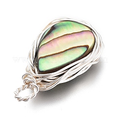 Подвески из натурального ушка / ракушки&nbsp;PALLOY-JF00477-02