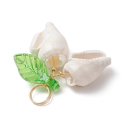 Подвески из натуральной морской ракушки&nbsp;PALLOY-JF03611-02