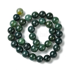 Природные моховой агат бисер нитей&nbsp;GSR10mmC001