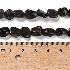 Природные иолит нитей бисера G-P497-01E-35