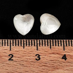 K9 стеклянные каноши&nbsp;RGLA-M016-H01-002DE