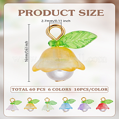 60 шт. 6 цвета прозрачные стеклянные подвески с распылительной росписью&nbsp;FIND-PH0024-56