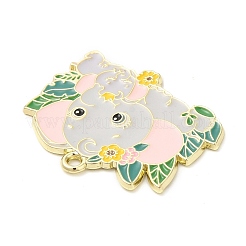 Подвески из эмали и сплава&nbsp;ENAM-C015-02D-G