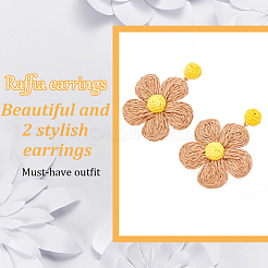 2 пара двухцветных сережек-гвоздиков в виде бумажных цветов из рафии&nbsp;EJEW-AN0001-47