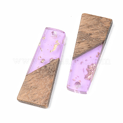 Подвески из прозрачной смолы и ореха&nbsp;RESI-S389-040A-B01