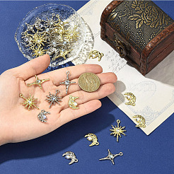 15 шт. подвески из сплава и смолы в двух стилях&nbsp;FIND-YW0011-15G