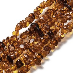 Янтарные шарики нити&nbsp;G-L095-L01-02