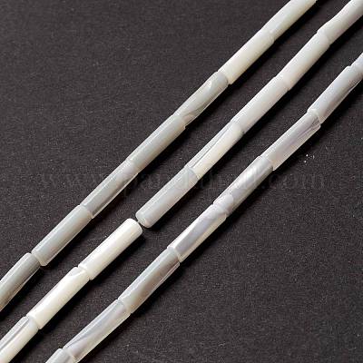 Бусины из натуральных трохоидных/трохус ракушек&nbsp;SSHEL-O001-26B-1