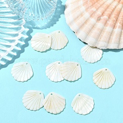 10 шт. подвески из резных натуральных пресноводных ракушек&nbsp;SHEL-YW0001-15