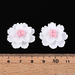 Смола декодирует кабошоны&nbsp;CRES-T025-04A