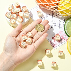 20шт 2 цвета подвески из смолы&nbsp;FIND-CJ0005-02