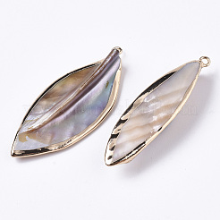 Естественных пресноводных оболочки большие кулоны&nbsp;X-SHEL-R048-09