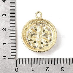 Подвески из сплава и страза&nbsp;FIND-H055-09G