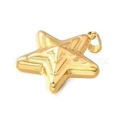 Подвески из нержавеющей стали 304&nbsp;LS-STAS-H200-03G