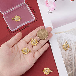 6шт латунные подвески с микропаве и кубическим цирконием&nbsp;ZIRC-BBC0002-20