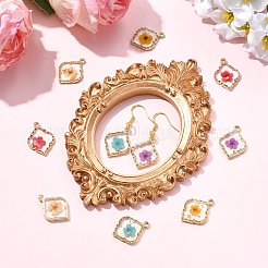 10 шт. подвески из эпоксидной смолы из цинкового сплава 5 цветов&nbsp;FIND-CJ0004-93