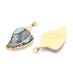 Подвески из натуральной ракушки пауа из нержавеющей стали 304&nbsp;STAS-N115-20B-G