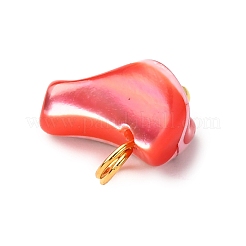 Подвески из окрашенных натуральных ракушек трохид/трохус&nbsp;PALLOY-JF04483-02