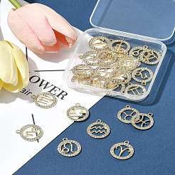 24 шт. 12 стиля подвески из цинкового сплава со стразами&nbsp;FIND-FS0004-40