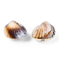 Гальванические акриловые шарики&nbsp;OACR-S021-55