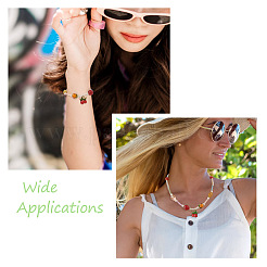 54шт 9 стиля ручной работы бусины лэмпворк&nbsp;LAMP-PJ0001-01