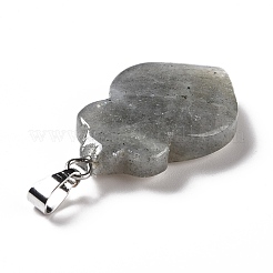 Природные подвески лабрадорита&nbsp;G-F714-01C
