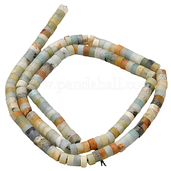 2 нити натуральных цветочных бусин амазонита нити&nbsp;G-PA0001-50